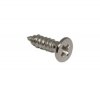 Screw 2,5x10mm nickel